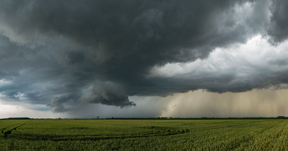 Rain clouds over a rural field, monsoon update for farmers