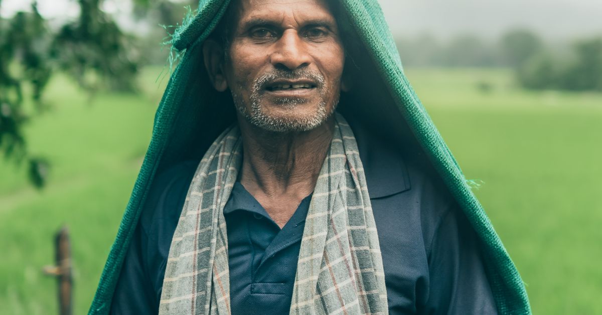 Indian farmer in a green field, PM Kisan status check guide