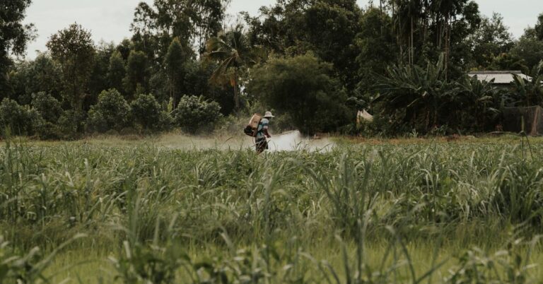 Farmer working in a field, vermicompost business