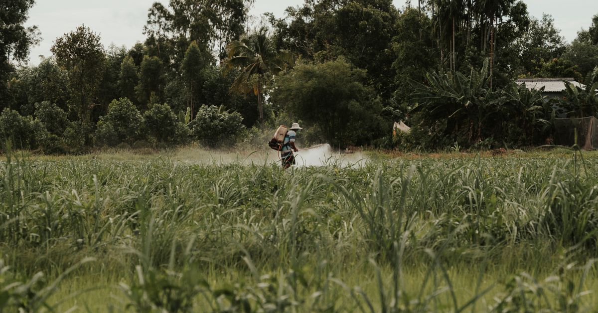 Farmer working in a field, vermicompost business